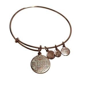 Alex and Ani Rosegold Blessed Bracelet Has All Charms Excellent Condition